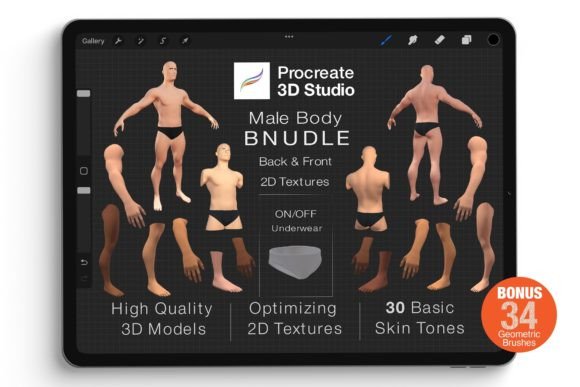 Everything You Need to Know About the Procreate 3D Model - Male Body Bundle