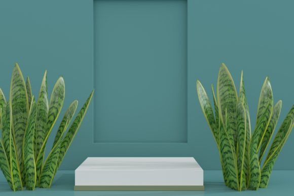 Minimal Platform Podium with Plant: A Versatile Solution for Product Displays